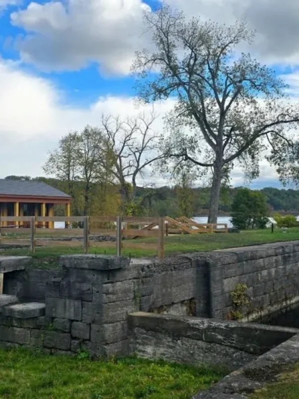 0052d33d-4530-4769-82c5-8a1fbcb5fb2c